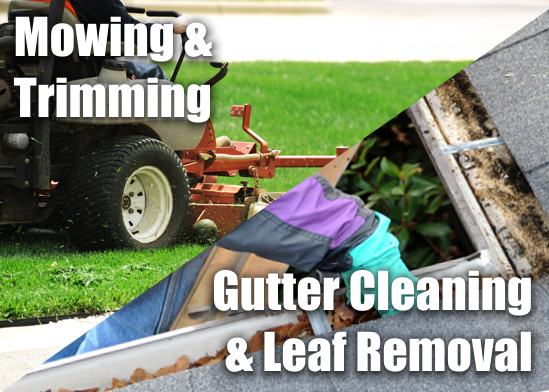 Mowing and Lead Removal